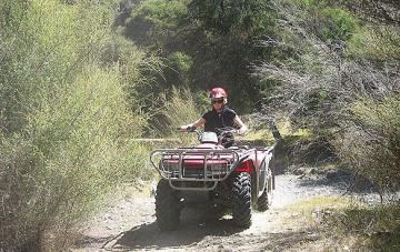 Enjoy a Tua Tua Tour at Ahipara, Image © Enjoy a Tua Tua Tour at Ahipara, Image ©